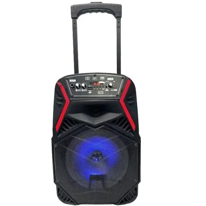 Акустична портативна система з караоке мікрофоном Winso OTY-8 8"x1-10W Bluetooth колонка з RGB стерео PLM