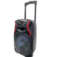 Акустична портативна система з караоке мікрофоном Winso OTY-8 8"x1-10W Bluetooth колонка з RGB стерео PLM