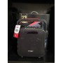 Портативная Bluetooth мини караоке колонка с микрофоном Temeisheng SL 05-26 аккумуляторная динамик 5″ 100 Вт
