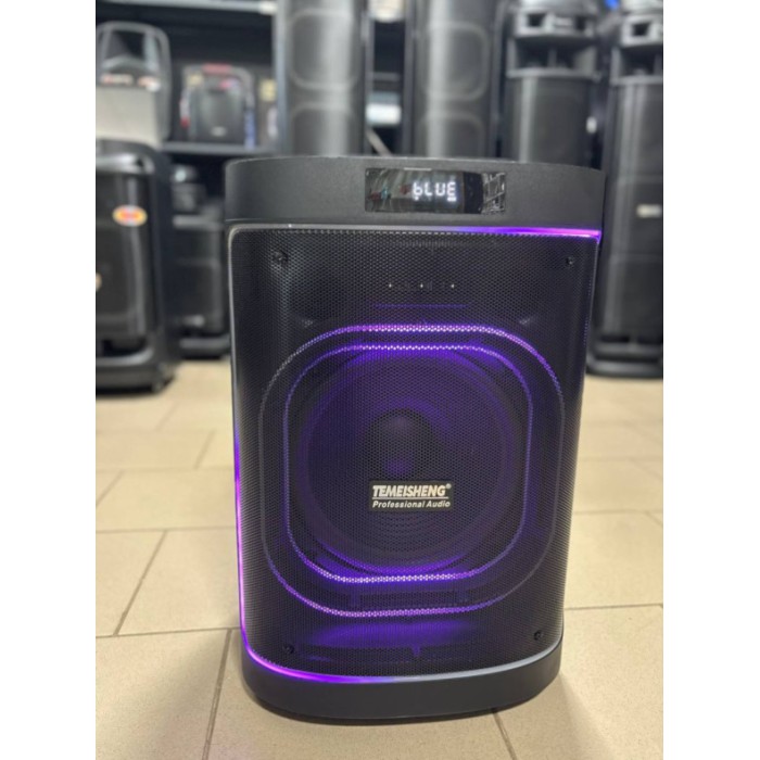 Портативная Bluetooth колонка Temeisheng 1221 12″ 80Вт с 2 микрофонами, аккумуляторная караоке система Портативная Bluetooth колонка Temeisheng 1221 12″ 80Вт с 2 микрофонами, аккумуляторная караоке система