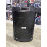 Портативна Bluetooth колонка Temeisheng 1221 12″ 80Вт із 2 мікрофонами, акумуляторна караоке система