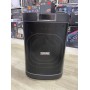 Портативна Bluetooth колонка Temeisheng 1221 12″ 80Вт із 2 мікрофонами, акумуляторна караоке система
