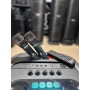 Портативная Bluetooth колонка Temeisheng 1221 12″ 80Вт с 2 микрофонами, аккумуляторная караоке система Портативная Bluetooth колонка Temeisheng 1221 12″ 80Вт с 2 микрофонами, аккумуляторная караоке система