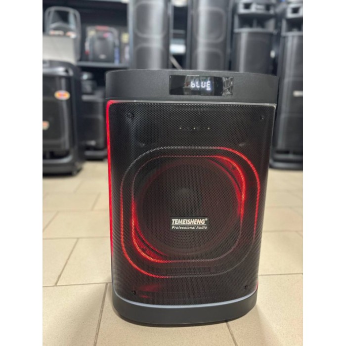 Портативная Bluetooth колонка Temeisheng 1221 12″ 80Вт с 2 микрофонами, аккумуляторная караоке система Портативная Bluetooth колонка Temeisheng 1221 12″ 80Вт с 2 микрофонами, аккумуляторная караоке система