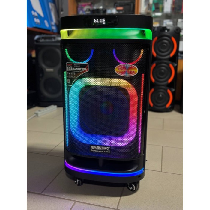 Портативная Bluetooth колонка Temeisheng 10291 10″ 80Вт с 2 микрофонами, аккумуляторная караоке система Портативная Bluetooth колонка Temeisheng 10291 10″ 80Вт с 2 микрофонами, аккумуляторная караоке система