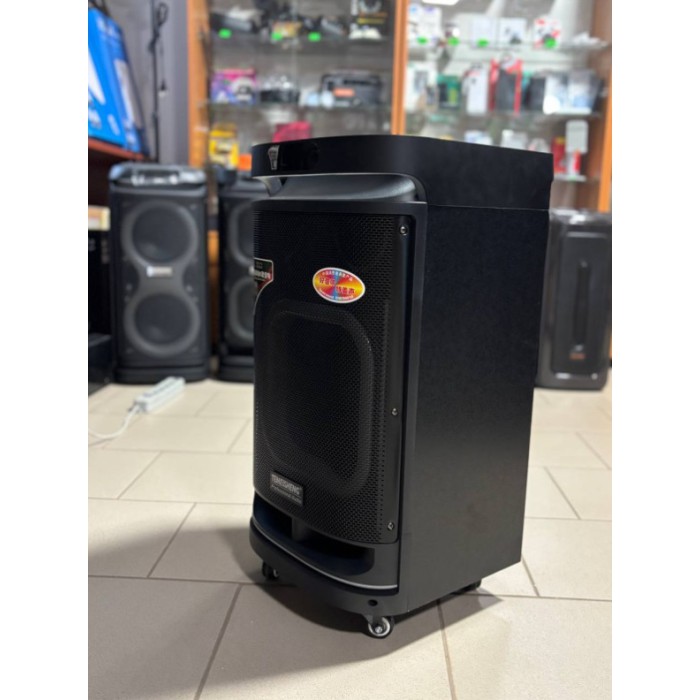 Портативная Bluetooth колонка Temeisheng 10291 10″ 80Вт с 2 микрофонами, аккумуляторная караоке система Портативная Bluetooth колонка Temeisheng 10291 10″ 80Вт с 2 микрофонами, аккумуляторная караоке система