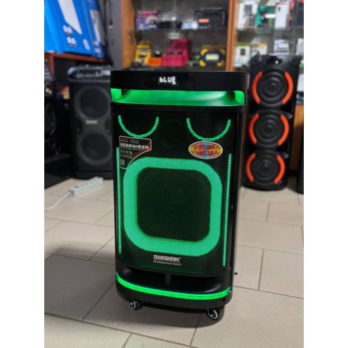 Портативная Bluetooth колонка Temeisheng 10291 10″ 80Вт с 2 микрофонами, аккумуляторная караоке система Портативная Bluetooth колонка Temeisheng 10291 10″ 80Вт с 2 микрофонами, аккумуляторная караоке система