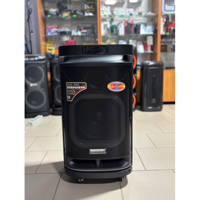 Портативная Bluetooth колонка Temeisheng 10291 10″ 80Вт с 2 микрофонами, аккумуляторная караоке система Портативная Bluetooth колонка Temeisheng 10291 10″ 80Вт с 2 микрофонами, аккумуляторная караоке система