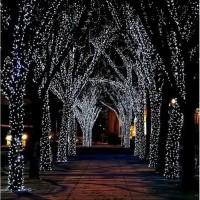 Гірлянда вулична 800 LED, 50 м, біла – декоративне світлодіодне зовнішнє освітлення