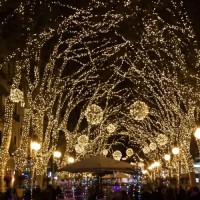 Вулична гірлянда 800 LED, 50 м, тепле біле світло, зелений провід, зовнішнє декоративне освітлення