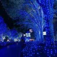 Вулична гірлянда 800 LED, 50 м, синє світло, зелений провід – зовнішнє декоративне освітлення