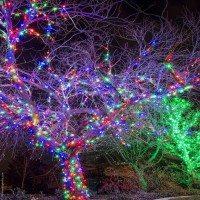 Вулична гірлянда 800 LED, 50 м, мульти світло, зелений провід – зовнішнє декоративне освітлення