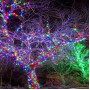 Вулична гірлянда 800 LED, 50 м, мульти світло, зелений провід – зовнішнє декоративне освітлення Вулична гірлянда 800 LED, 50 м, мульти світло, зелений провід – зовнішнє декоративне освітлення