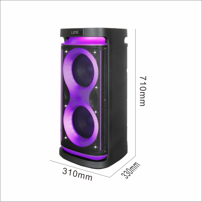 Мощная переносная Bluetooth колонка с аккумулятором и двумя микрофонами - акустическая система с 2 низкочастотными 8″ динамиками и 3″ высокочастотными динамиками Мощная переносная Bluetooth колонка с аккумулятором и двумя микрофонами - акустическая система с 2 низкочастотными 8″ динамиками и 3″ высокочастотными динамиками