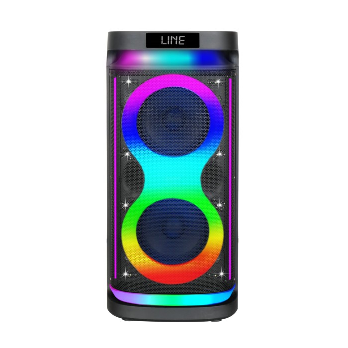 Мощная переносная Bluetooth колонка с аккумулятором и двумя микрофонами - акустическая система с 2 низкочастотными 8″ динамиками и 3″ высокочастотными динамиками Мощная переносная Bluetooth колонка с аккумулятором и двумя микрофонами - акустическая система с 2 низкочастотными 8″ динамиками и 3″ высокочастотными динамиками