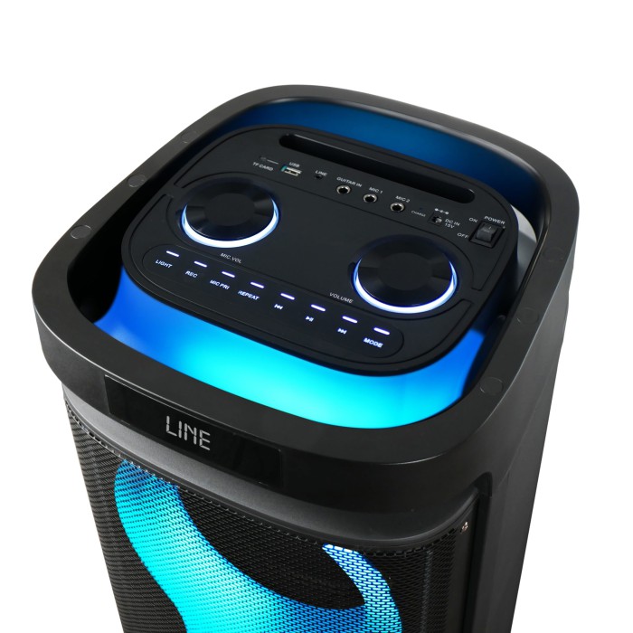 Мощная переносная Bluetooth колонка с аккумулятором и двумя микрофонами - акустическая система с 2 низкочастотными 8″ динамиками и 3″ высокочастотными динамиками Мощная переносная Bluetooth колонка с аккумулятором и двумя микрофонами - акустическая система с 2 низкочастотными 8″ динамиками и 3″ высокочастотными динамиками