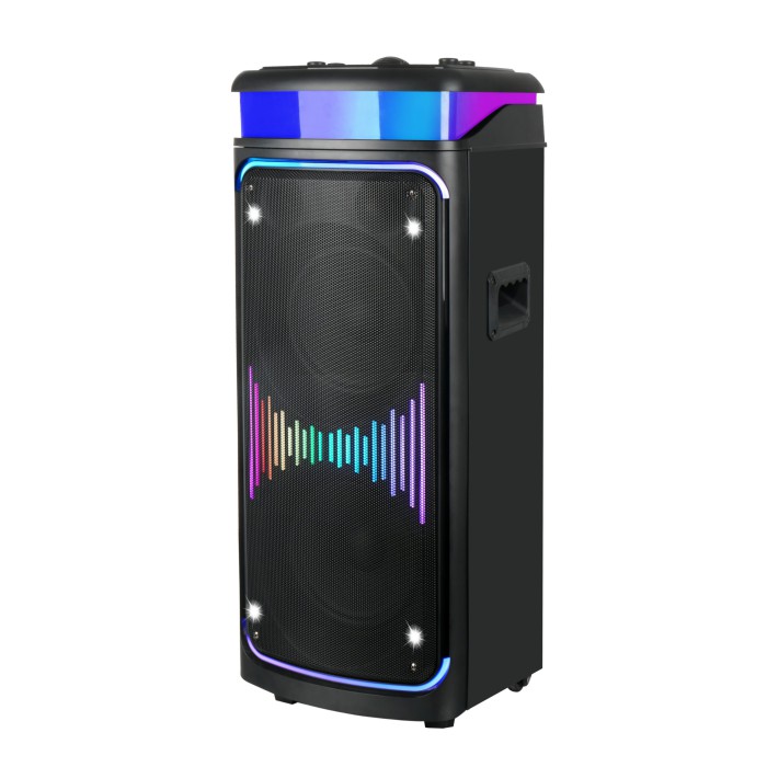 Переносна Bluetooth колонка, караоке з подвійним 8-дюймовим динаміком, акустична система на акумуляторі з 2 бездротовими мікрофонами та пультом дистанційного керування Переносна Bluetooth колонка, караоке з подвійним 8-дюймовим динаміком, акустична система на акумуляторі з 2 бездротовими мікрофонами та пультом дистанційного керування