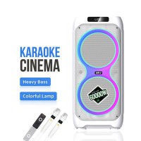 Акумуляторна Bluetooth колонка GEDI-G LT-2233 караоке система з подвійними 12″ динаміками, потужна портативна акустична колонка