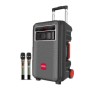 Bluetooth-колонка Temeisheng SL-1022 2 мікрофони, пульт ДУ та ручка для зручного перенесення – ідеальна караоке-система для вечірок