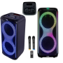 Bluetooth-колонка Temeisheng 1056 з LED-підсвіткою, 2×10″ динаміками, караоке-функцією, 2 мікрофони та пультом ДУ – портативна акустична система